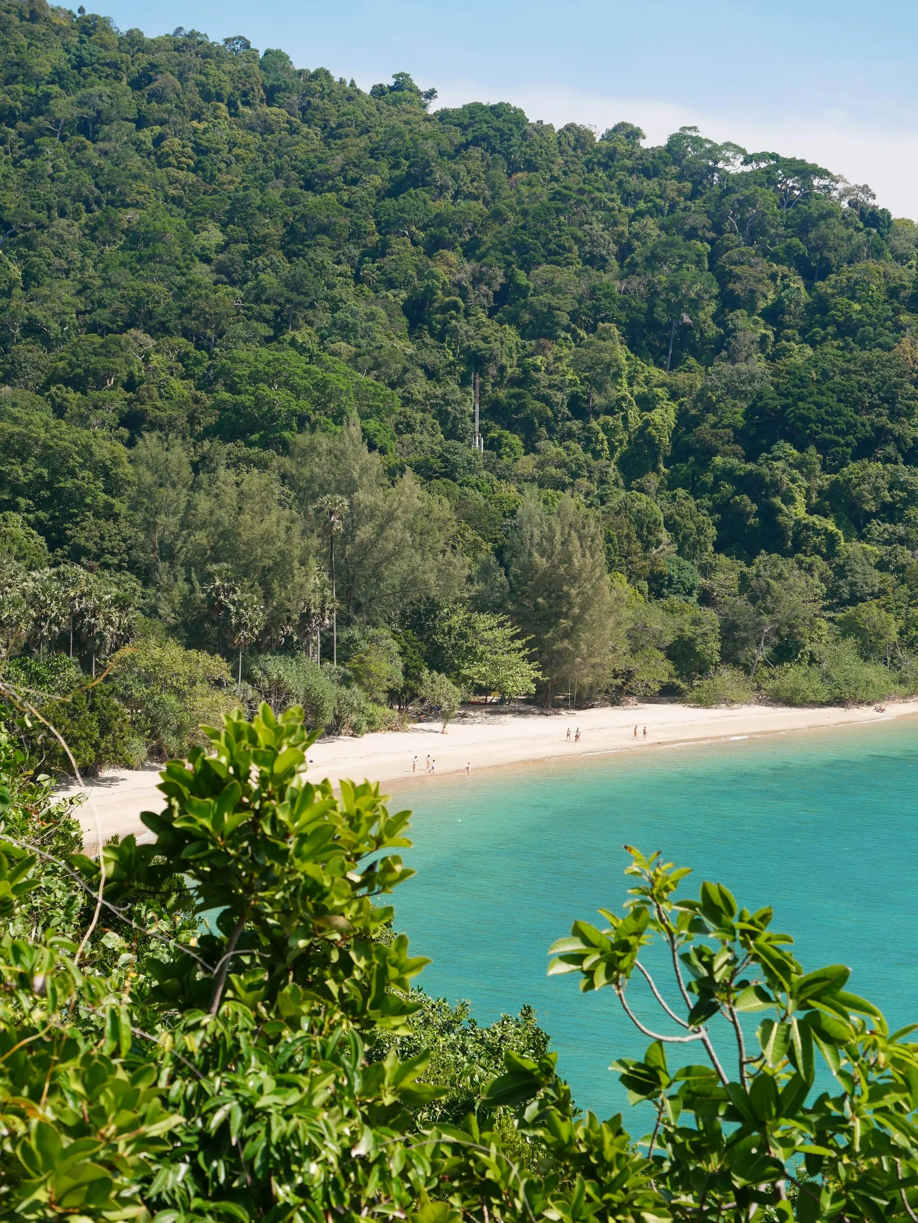 A sandy beach surrounded by forest in Mu Ko Lanta National Park