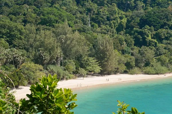 A sandy beach surrounded by forest in Mu Ko Lanta National Park
