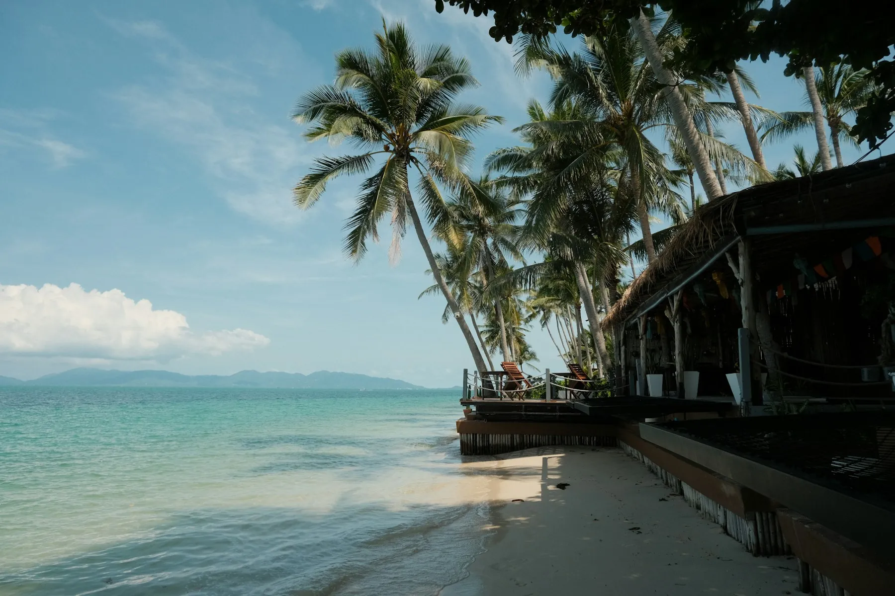 Palm trees and beachfront terraces beside the clear sea on Koh Samui