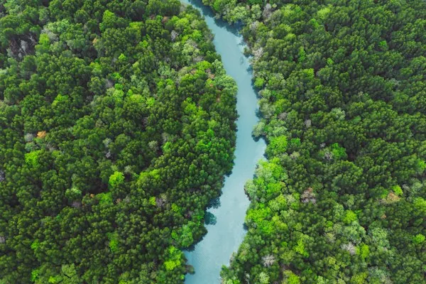 A winding channel through the mangroves near Khao Khanap Nam, Krabi Town